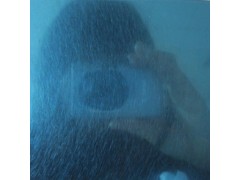304和纹宝石兰图1